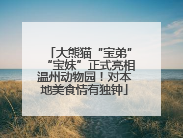 大熊猫“宝弟”“宝妹”正式亮相温州动物园！对本地美食情有独钟
