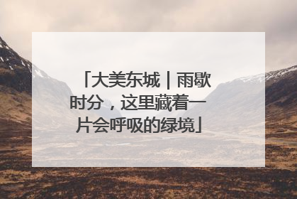 大美东城｜雨歇时分，这里藏着一片会呼吸的绿境