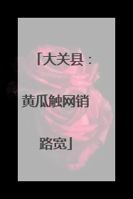 大关县：黄瓜触网销路宽