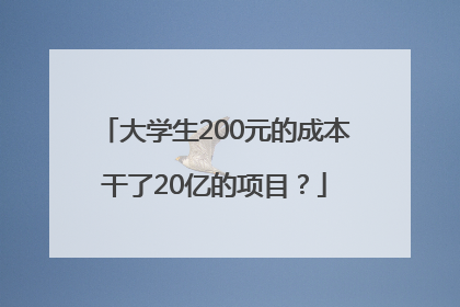 大学生200元的成本干了20亿的项目？