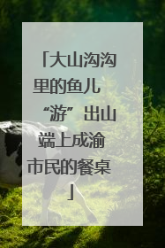 大山沟沟里的鱼儿 “游”出山 端上成渝市民的餐桌