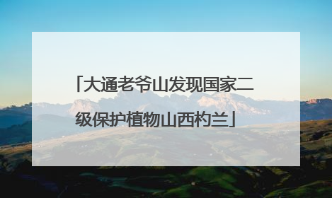 大通老爷山发现国家二级保护植物山西杓兰