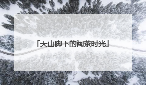 天山脚下的闽茶时光