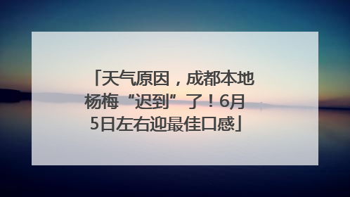 天气原因，成都本地杨梅“迟到”了！6月5日左右迎最佳口感