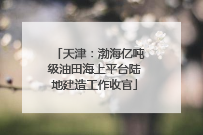 天津：渤海亿吨级油田海上平台陆地建造工作收官