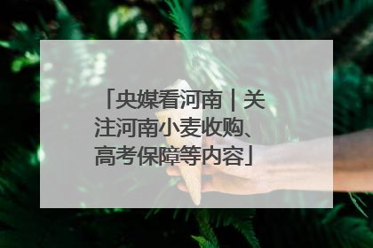 央媒看河南｜关注河南小麦收购、高考保障等内容