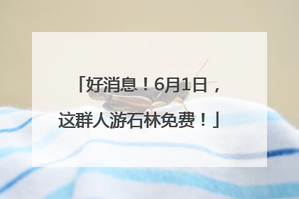好消息！6月1日，这群人游石林免费！