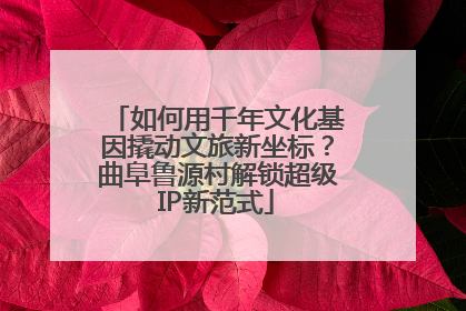 如何用千年文化基因撬动文旅新坐标？曲阜鲁源村解锁超级IP新范式