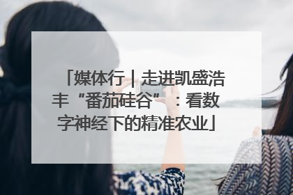 媒体行｜走进凯盛浩丰“番茄硅谷”：看数字神经下的精准农业