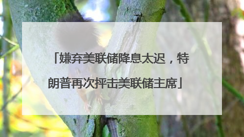 嫌弃美联储降息太迟，特朗普再次抨击美联储主席