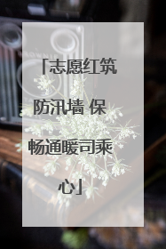 志愿红筑防汛墙 保畅通暖司乘心