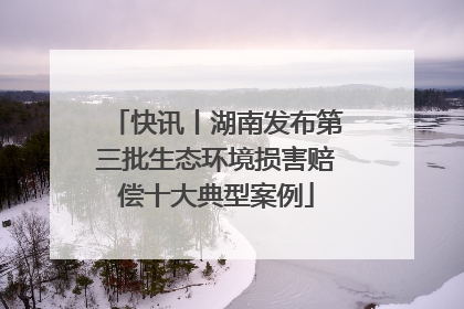 快讯丨湖南发布第三批生态环境损害赔偿十大典型案例