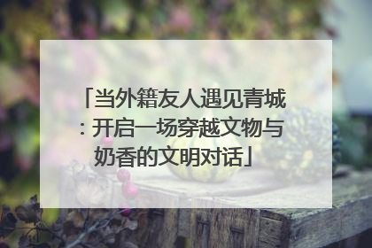 当外籍友人遇见青城：开启一场穿越文物与奶香的文明对话