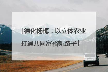 德化杨梅：以立体农业打通共同富裕新路子