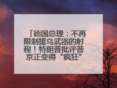 德国总理：不再限制援乌武器的射程！特朗普批评普京正变得“疯狂”，俄方最新回应