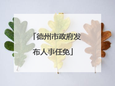 德州市政府发布人事任免