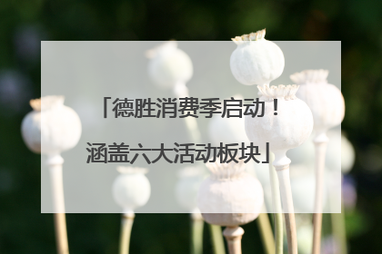 德胜消费季启动！涵盖六大活动板块