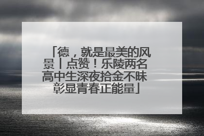 德，就是最美的风景丨点赞！乐陵两名高中生深夜拾金不昧 彰显青春正能量
