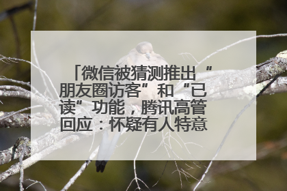 微信被猜测推出“朋友圈访客”和“已读”功能，腾讯高管回应：怀疑有人特意反复翻炒流量