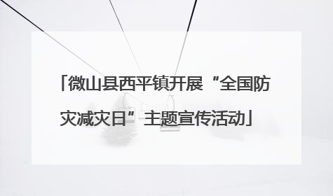 微山县西平镇开展“全国防灾减灾日”主题宣传活动
