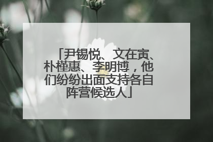 尹锡悦、文在寅、朴槿惠、李明博，他们纷纷出面支持各自阵营候选人