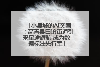 小县城的AI突围：高青县田镇街道引来星途旗航 成为数据标注先行军