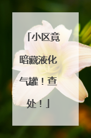 小区竟暗藏液化气罐！查处！