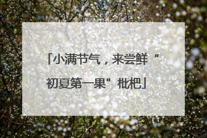小满节气，来尝鲜“初夏第一果”枇杷