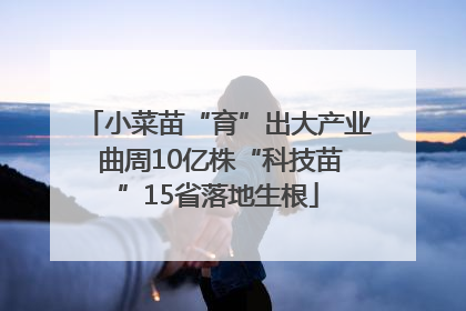 小菜苗“育”出大产业 曲周10亿株“科技苗”15省落地生根