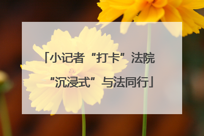小记者“打卡”法院 “沉浸式”与法同行