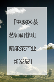 屯溪区茶艺师研修班赋能茶产业新发展