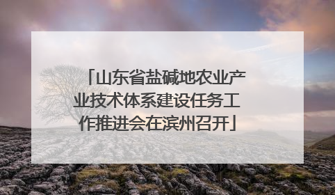 山东省盐碱地农业产业技术体系建设任务工作推进会在滨州召开