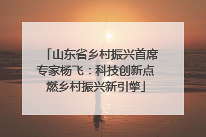 山东省乡村振兴首席专家杨飞：科技创新点燃乡村振兴新引擎
