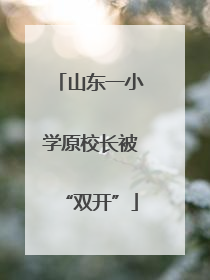 山东一小学原校长被“双开”