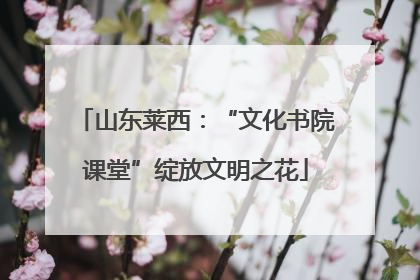 山东莱西：“文化书院课堂”绽放文明之花