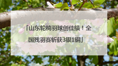 山东轮椅羽球创佳绩！全国残羽赛斩获3银1铜