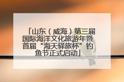 山东（威海）第三届国际海洋文化旅游年暨首届“海天驿旅杯”钓鱼节正式启动