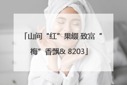 山间“红”果缀 致富“梅”香飘& 8203