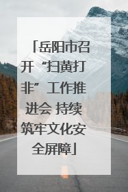 岳阳市召开“扫黄打非”工作推进会 持续筑牢文化安全屏障