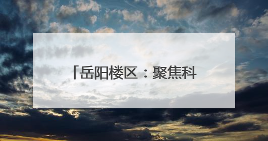 岳阳楼区：聚焦科技转化、创新民生服务、拓展国际赛道