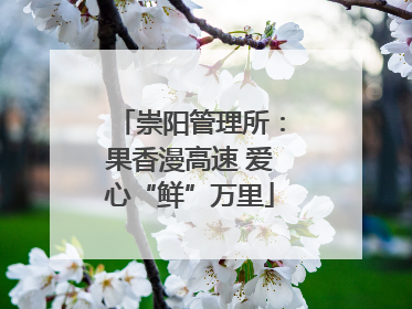 崇阳管理所：果香漫高速 爱心“鲜”万里