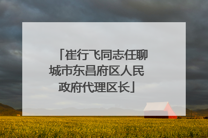 崔行飞同志任聊城市东昌府区人民政府代理区长