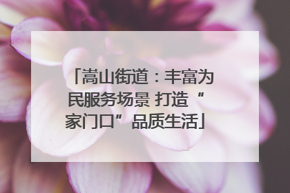 嵩山街道：丰富为民服务场景 打造“家门口”品质生活