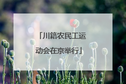 川籍农民工运动会在京举行