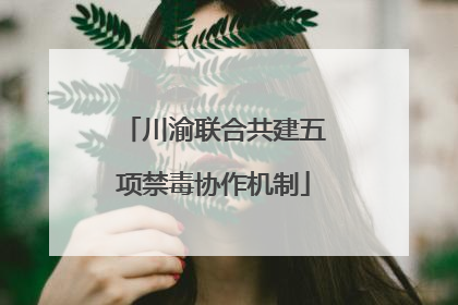 川渝联合共建五项禁毒协作机制