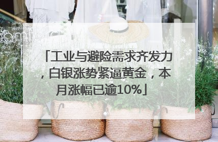 工业与避险需求齐发力，白银涨势紧逼黄金，本月涨幅已逾10%