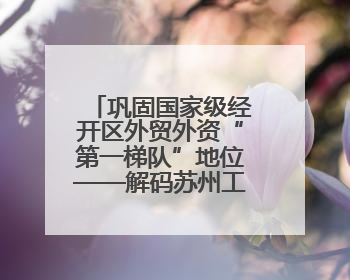 巩固国家级经开区外贸外资“第一梯队”地位——解码苏州工业园区样本