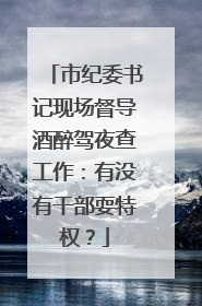 市纪委书记现场督导酒醉驾夜查工作：有没有干部耍特权？