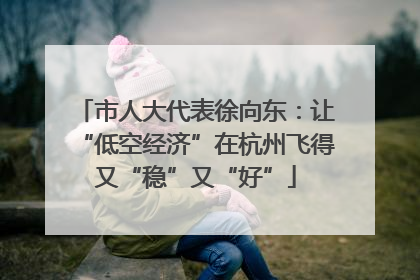 市人大代表徐向东：让“低空经济”在杭州飞得又“稳”又“好”