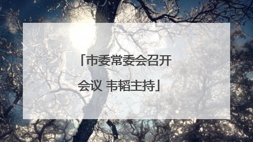 市委常委会召开会议 韦韬主持